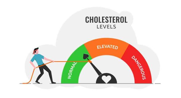 effects of cholesterol